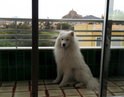 mi nevado posando mi nevado posando